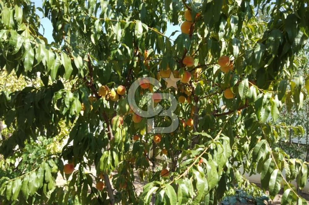ÇANKAYA-ALACAATLIDA MÜSTAKİL 4 KATLI AKILLI BİNADA SATILIK DAİRE