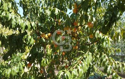 ÇANKAYA-ALACAATLIDA MÜSTAKİL 4 KATLI AKILLI BİNADA SATILIK DAİRE