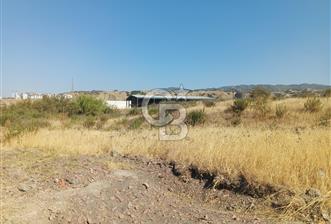 Manisa Turgutlu Selvilitepe'de 4 kat imarlı 291 m2 arsa