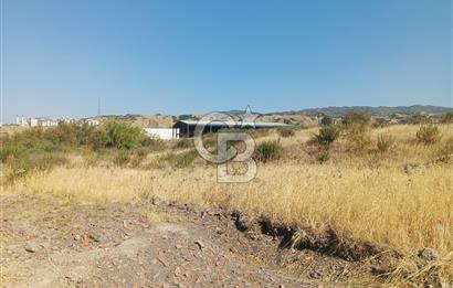 Manisa Turgutlu Selvilitepe'de 4 kat imarlı 291 m2 arsa