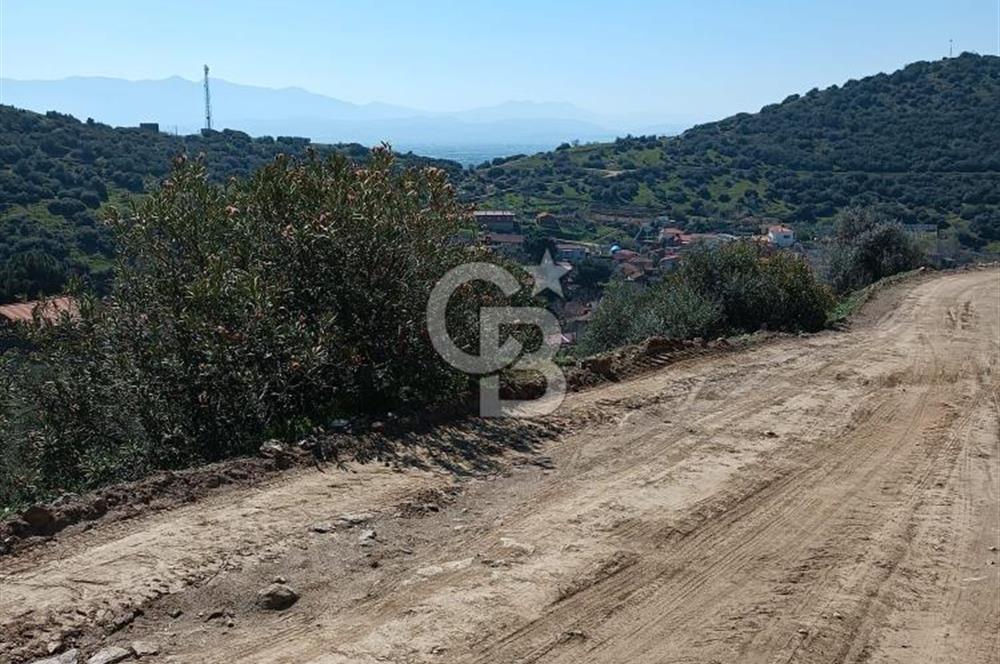 BAYINDIR YUSUFLU DA YATIRIMLIK MANZARALI ZEYTİNLİK