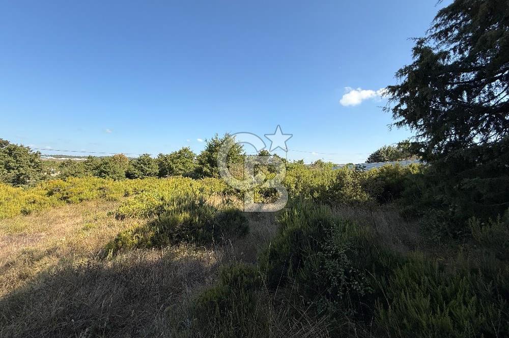 İstanbul Tuzla Tepeören Yatırımlık 1.178 m² Arsa
