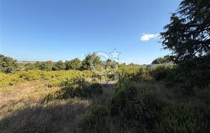 İstanbul Tuzla Tepeören Yatırımlık 1.178 m² Arsa