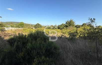 İstanbul Tuzla Tepeören Yatırımlık 1.178 m² Arsa