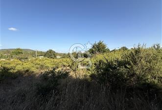 İstanbul Tuzla Tepeören Yatırımlık 1.178 m² Arsa