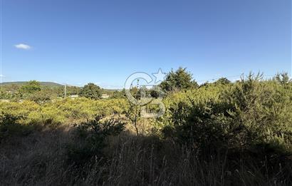 İstanbul Tuzla Tepeören Yatırımlık 1.178 m² Arsa