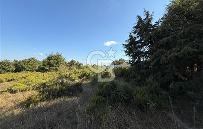İstanbul Tuzla Tepeören Yatırımlık 1.178 m² Arsa