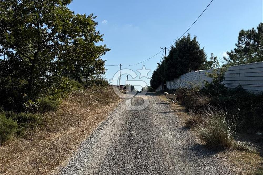 İstanbul Tuzla Tepeören Yatırımlık 1.178 m² Arsa