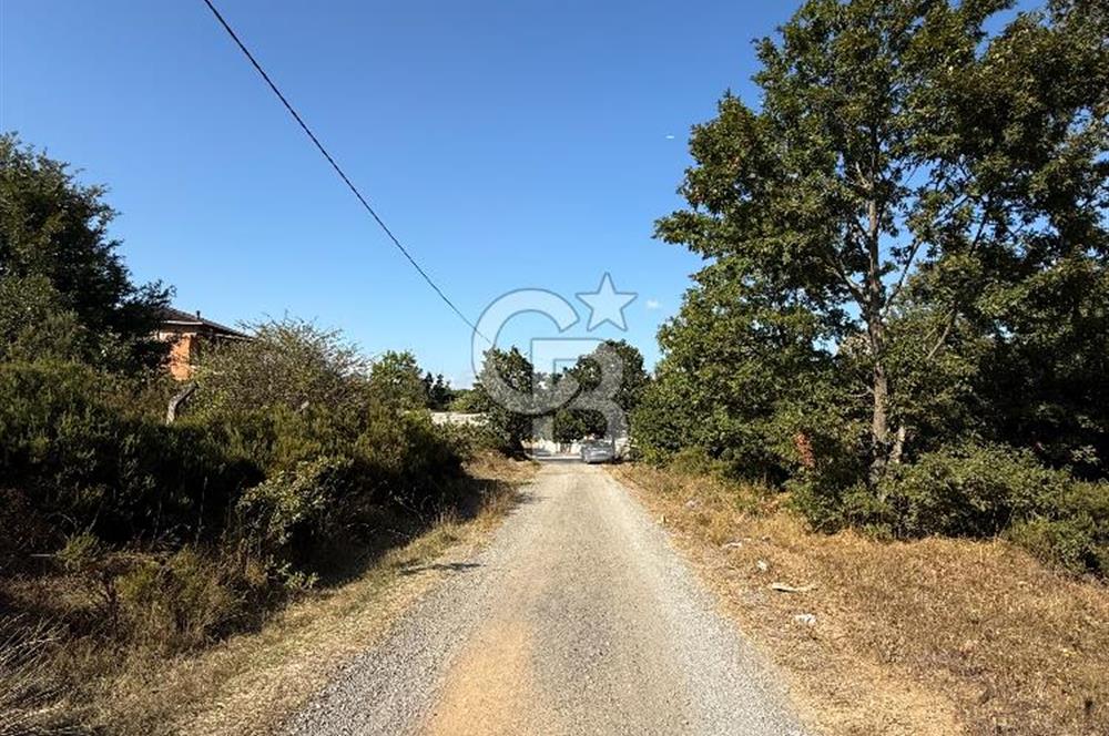 İstanbul Tuzla Tepeören Yatırımlık 1.178 m² Arsa