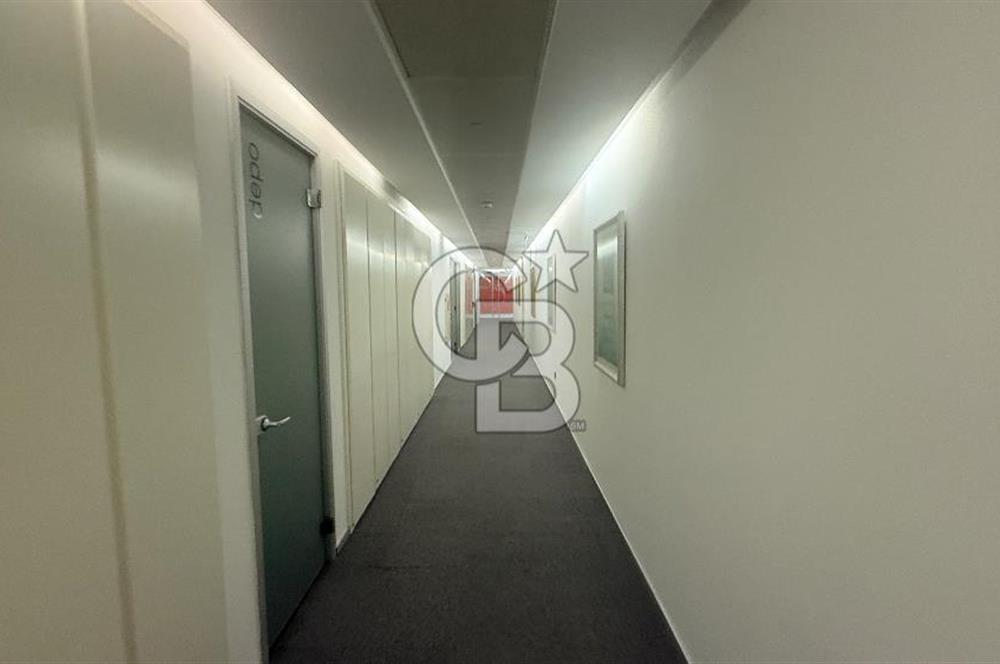 Süzer Plaza'da 3000m2 Geniş Ekipler İçin Dekorasyonlu Ofis
