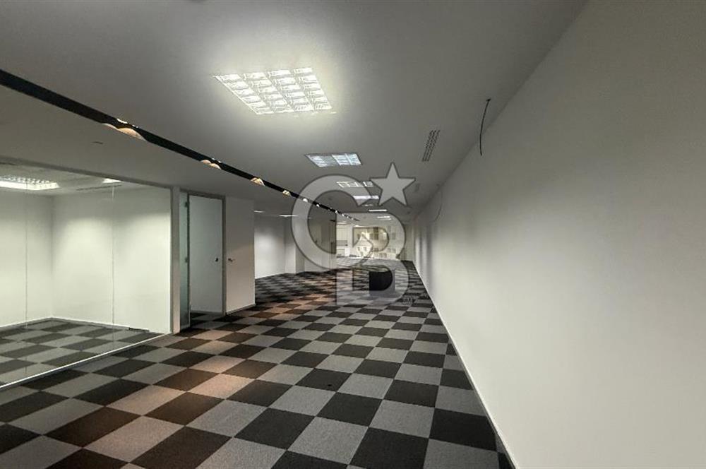 Süzer Plaza'da 3000m2 Geniş Ekipler İçin Dekorasyonlu Ofis