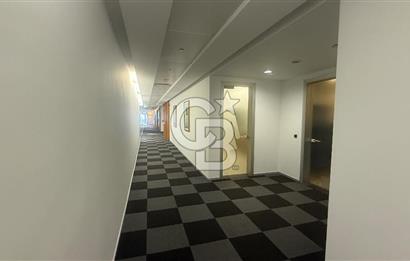 Süzer Plaza'da 3000m2 Geniş Ekipler İçin Dekorasyonlu Ofis