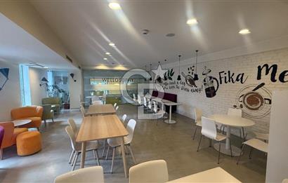 Levent Harmancı Giz Plaza 2000M2 Kurumsala Uygun Dekorasyonlu Ofis