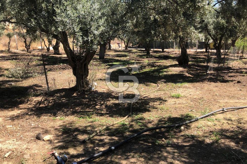 BAYINDIR ARIKBAŞI DA SATILIK 571 M2 İMARLI YOLA CEPHELİ ARSA