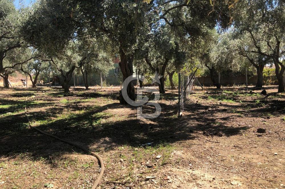 BAYINDIR ARIKBAŞI DA SATILIK 571 M2 İMARLI YOLA CEPHELİ ARSA