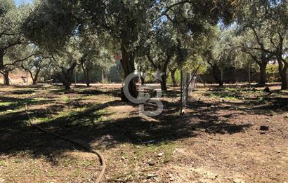 BAYINDIR ARIKBAŞI DA SATILIK 571 M2 İMARLI YOLA CEPHELİ ARSA