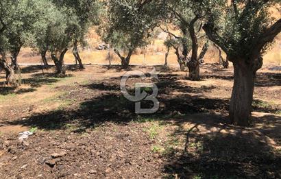 BAYINDIR ARIKBAŞI DA SATILIK 571 M2 İMARLI YOLA CEPHELİ ARSA