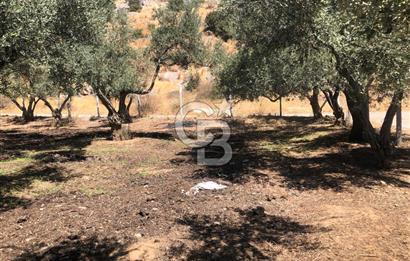 BAYINDIR ARIKBAŞI DA SATILIK 571 M2 İMARLI YOLA CEPHELİ ARSA