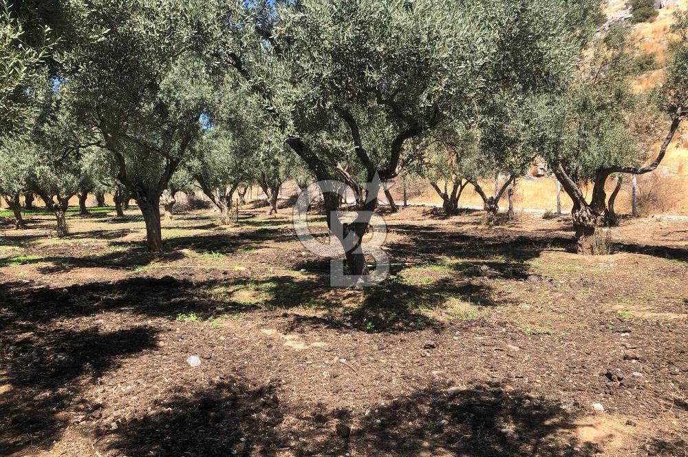 BAYINDIR ARIKBAŞI DA SATILIK 571 M2 İMARLI YOLA CEPHELİ ARSA