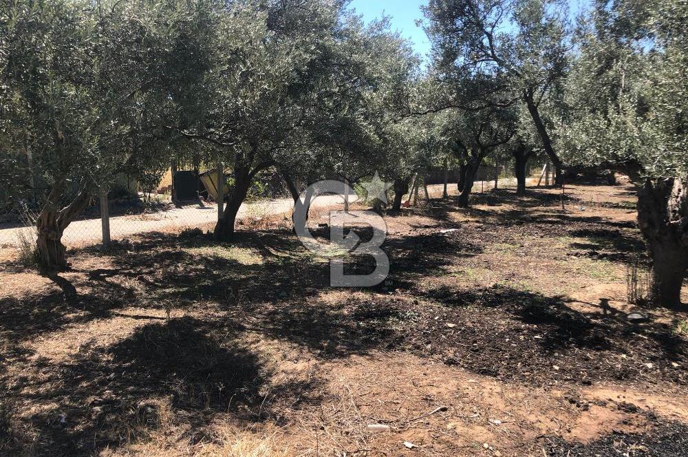 BAYINDIR ARIKBAŞI DA SATILIK 571 M2 İMARLI YOLA CEPHELİ ARSA