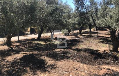 BAYINDIR ARIKBAŞI DA SATILIK 571 M2 İMARLI YOLA CEPHELİ ARSA
