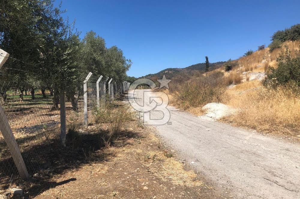 BAYINDIR ARIKBAŞI DA SATILIK 571 M2 İMARLI YOLA CEPHELİ ARSA