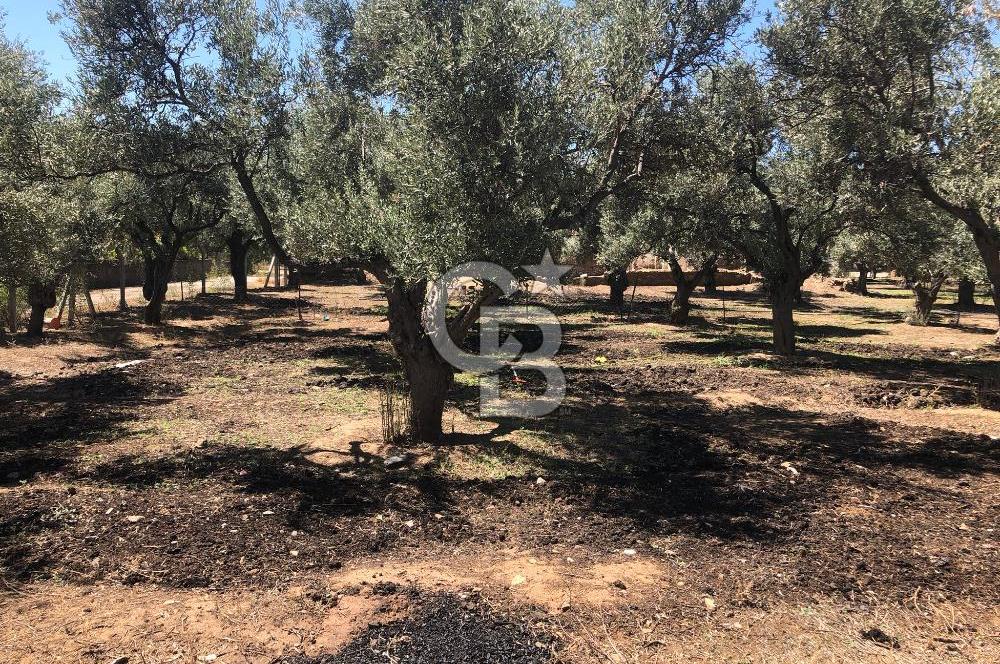 BAYINDIR ARIKBAŞI DA SATILIK 571 M2 İMARLI YOLA CEPHELİ ARSA