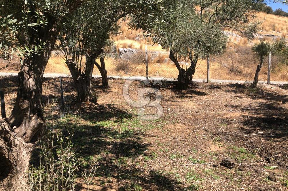 BAYINDIR ARIKBAŞI DA SATILIK 571 M2 İMARLI YOLA CEPHELİ ARSA