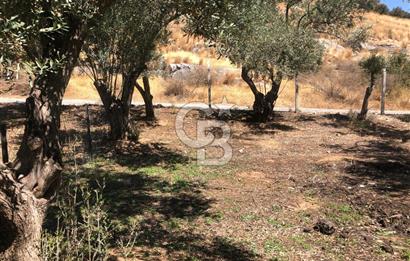 BAYINDIR ARIKBAŞI DA SATILIK 571 M2 İMARLI YOLA CEPHELİ ARSA