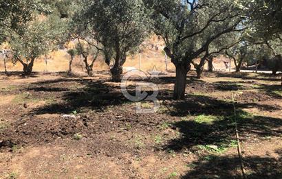 BAYINDIR ARIKBAŞI DA SATILIK 571 M2 İMARLI YOLA CEPHELİ ARSA