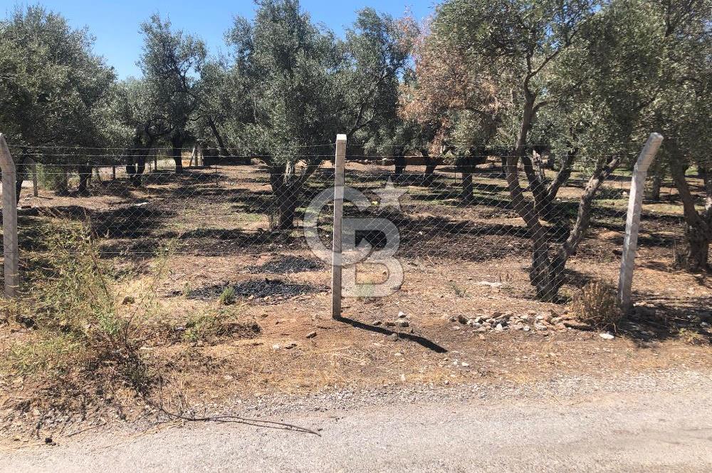 BAYINDIR ARIKBAŞI DA SATILIK 571 M2 İMARLI YOLA CEPHELİ ARSA