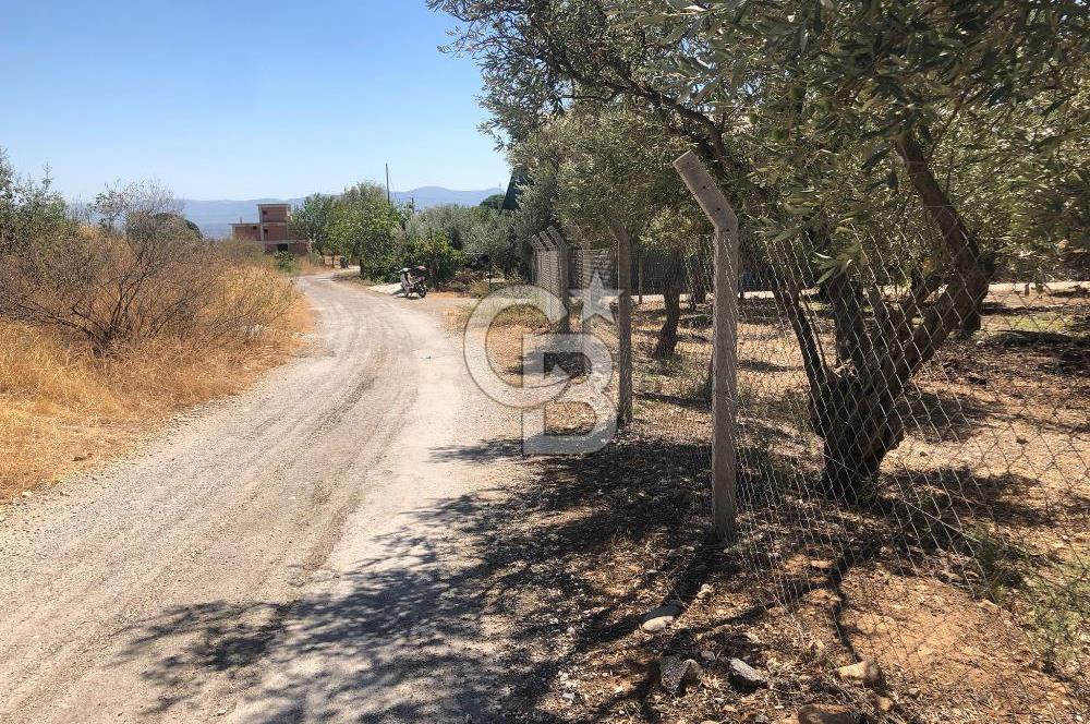 BAYINDIR ARIKBAŞI DA SATILIK 571 M2 İMARLI YOLA CEPHELİ ARSA