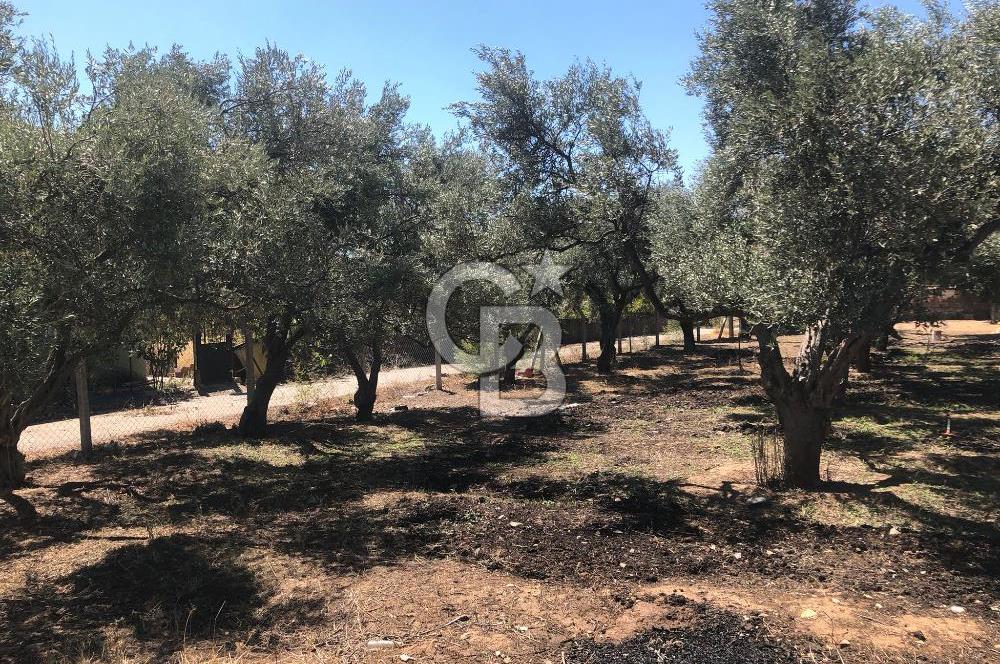 BAYINDIR ARIKBAŞI DA SATILIK 571 M2 İMARLI YOLA CEPHELİ ARSA
