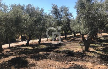 BAYINDIR ARIKBAŞI DA SATILIK 571 M2 İMARLI YOLA CEPHELİ ARSA