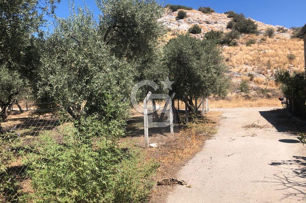 BAYINDIR ARIKBAŞI DA SATILIK 571 M2 İMARLI YOLA CEPHELİ ARSA