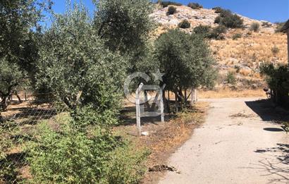 BAYINDIR ARIKBAŞI DA SATILIK 571 M2 İMARLI YOLA CEPHELİ ARSA