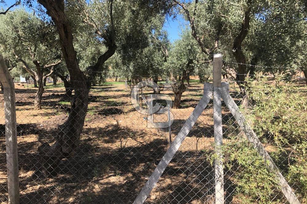 BAYINDIR ARIKBAŞI DA SATILIK 571 M2 İMARLI YOLA CEPHELİ ARSA