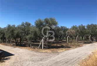 BAYINDIR ARIKBAŞI DA SATILIK 571 M2 İMARLI YOLA CEPHELİ ARSA