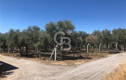 BAYINDIR ARIKBAŞI DA SATILIK 571 M2 İMARLI YOLA CEPHELİ ARSA