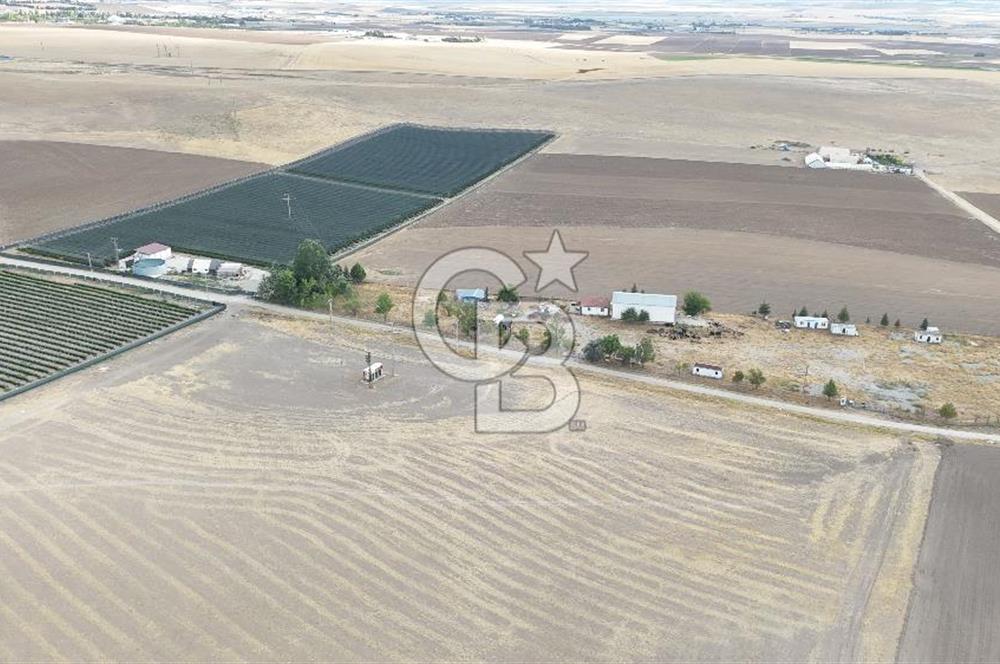 ANKARA GÖLBAŞI OĞULBEYDE HAZIR YAPILARIYLA SATILIK ARSA