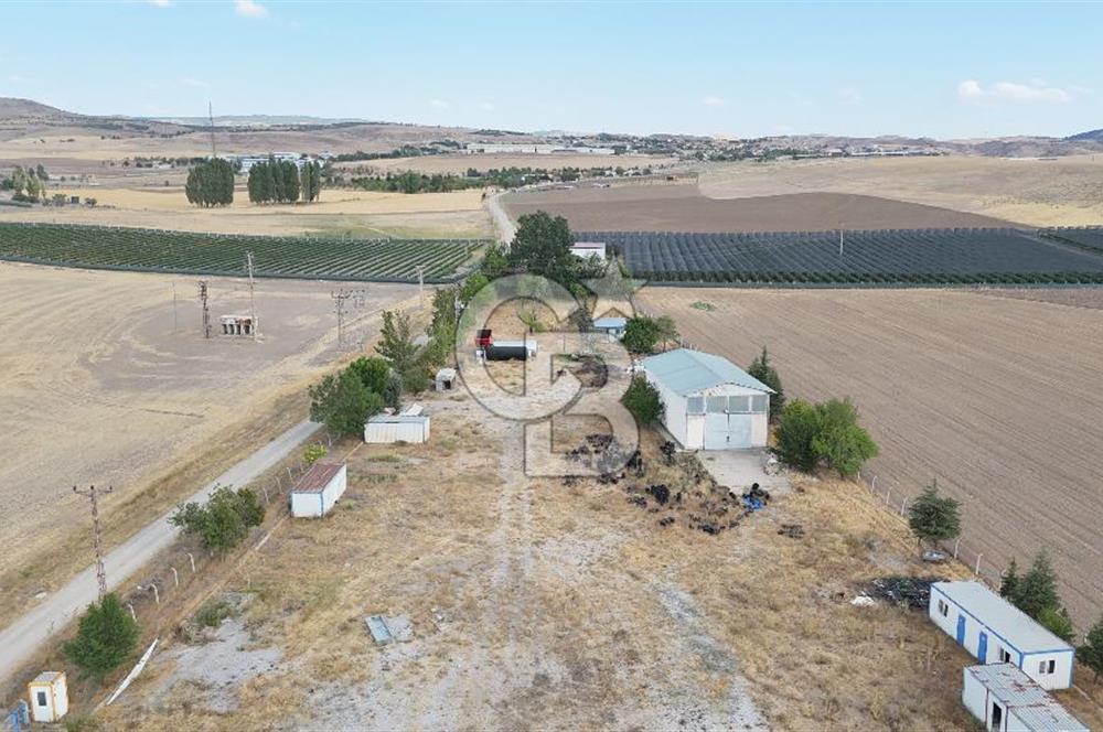 ANKARA GÖLBAŞI OĞULBEYDE HAZIR YAPILARIYLA SATILIK ARSA