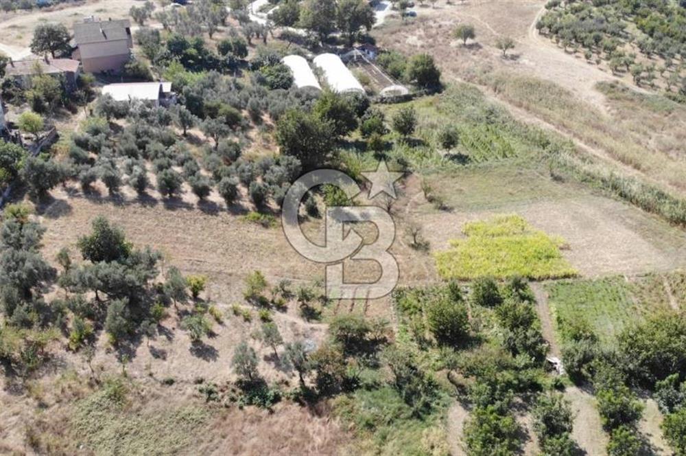 CB Fly'dan Yatırımlık 4391 m² %40 İmarlı Arsa + Müstakil Ev