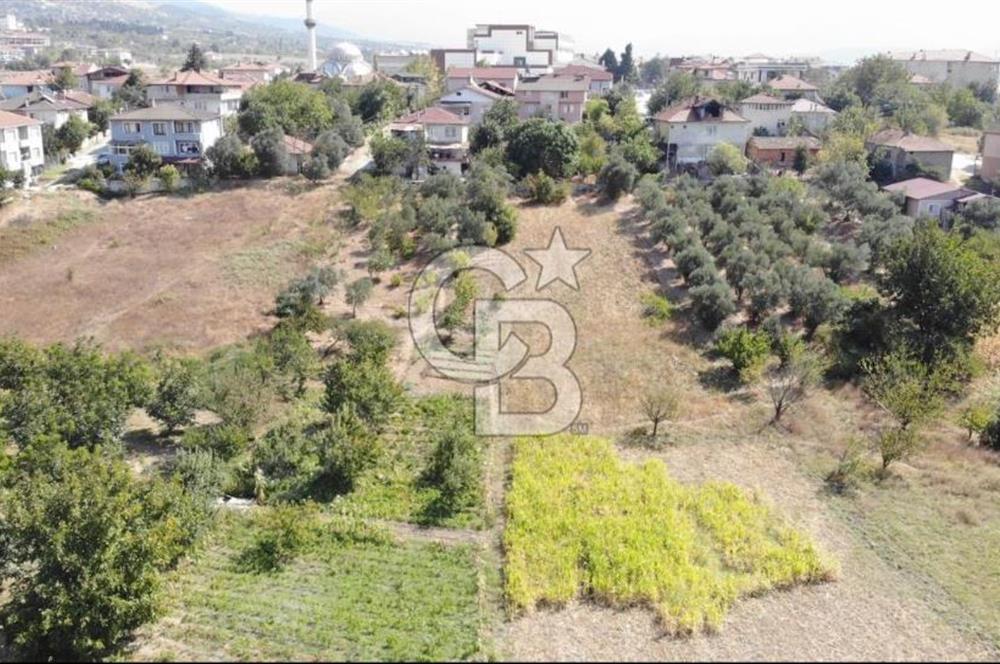 CB Fly'dan Yatırımlık 4391 m² %40 İmarlı Arsa + Müstakil Ev