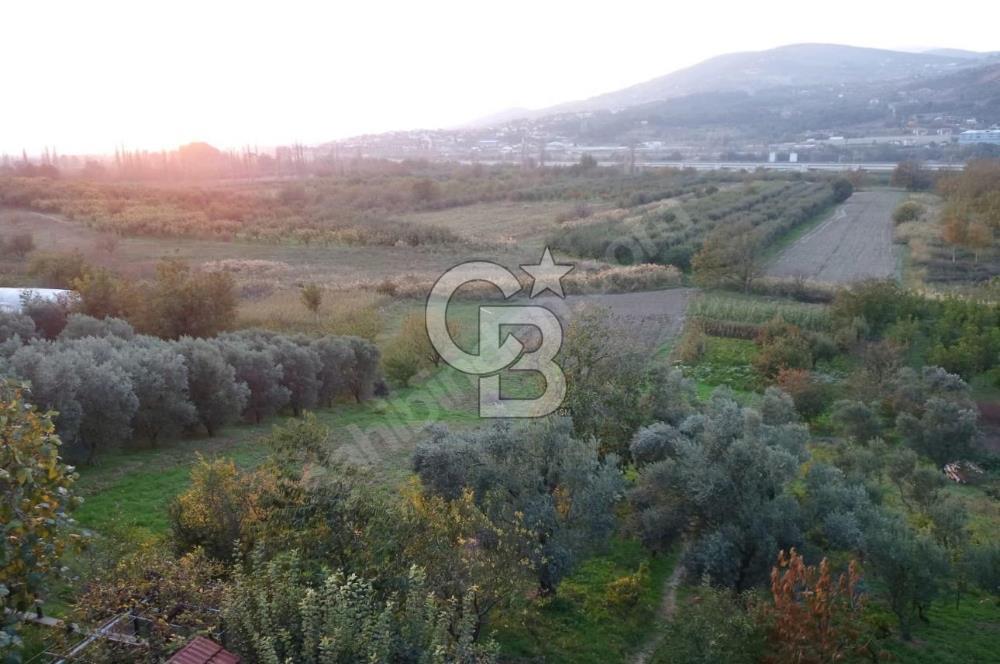 CB Fly'dan Yatırımlık 4391 m² %40 İmarlı Arsa + Müstakil Ev