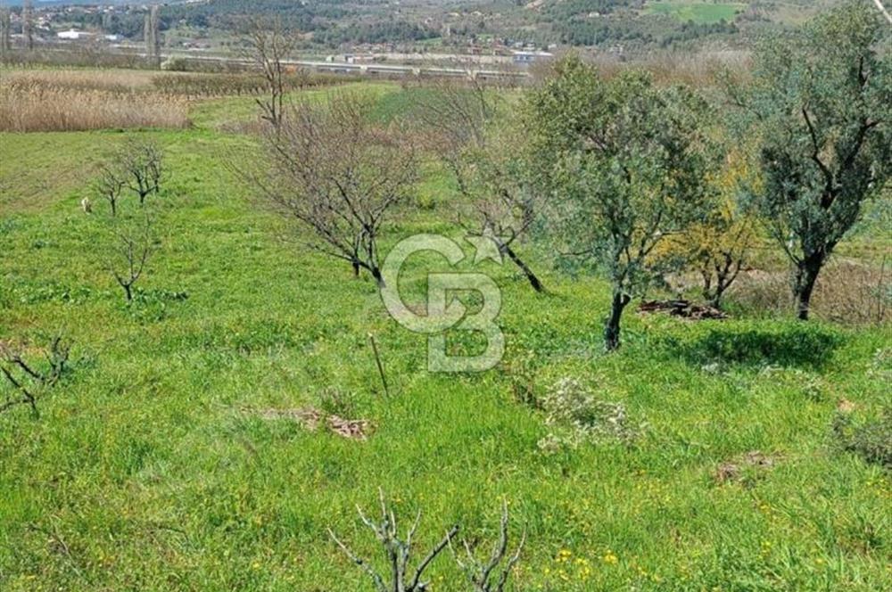 CB Fly'dan Yatırımlık 4391 m² %40 İmarlı Arsa + Müstakil Ev