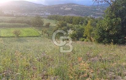 CB Fly'dan Yatırımlık 4391 m² %40 İmarlı Arsa + Müstakil Ev