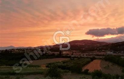 CB Fly'dan Yatırımlık 4391 m² %40 İmarlı Arsa + Müstakil Ev