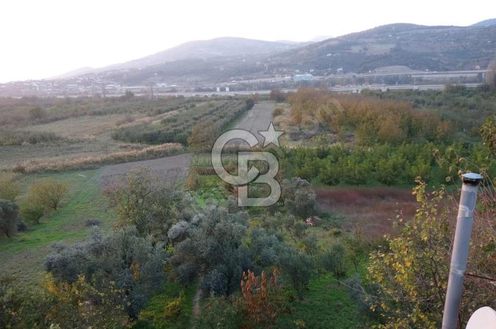 CB Fly'dan Yatırımlık 4391 m² %40 İmarlı Arsa + Müstakil Ev