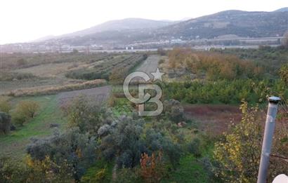 CB Fly'dan Yatırımlık 4391 m² %40 İmarlı Arsa + Müstakil Ev