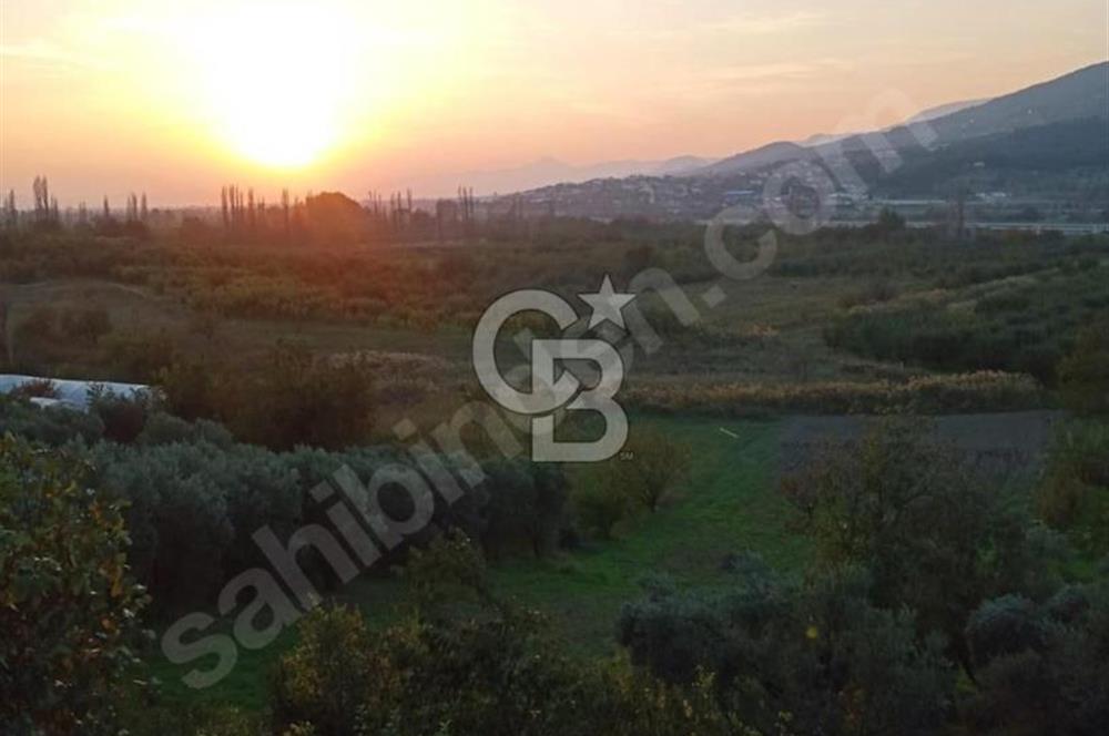 CB Fly'dan Yatırımlık 4391 m² %40 İmarlı Arsa + Müstakil Ev